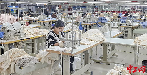 濟寧市兗州區 引項目搭橋梁，公共就業服務讓就業顧家兩不誤